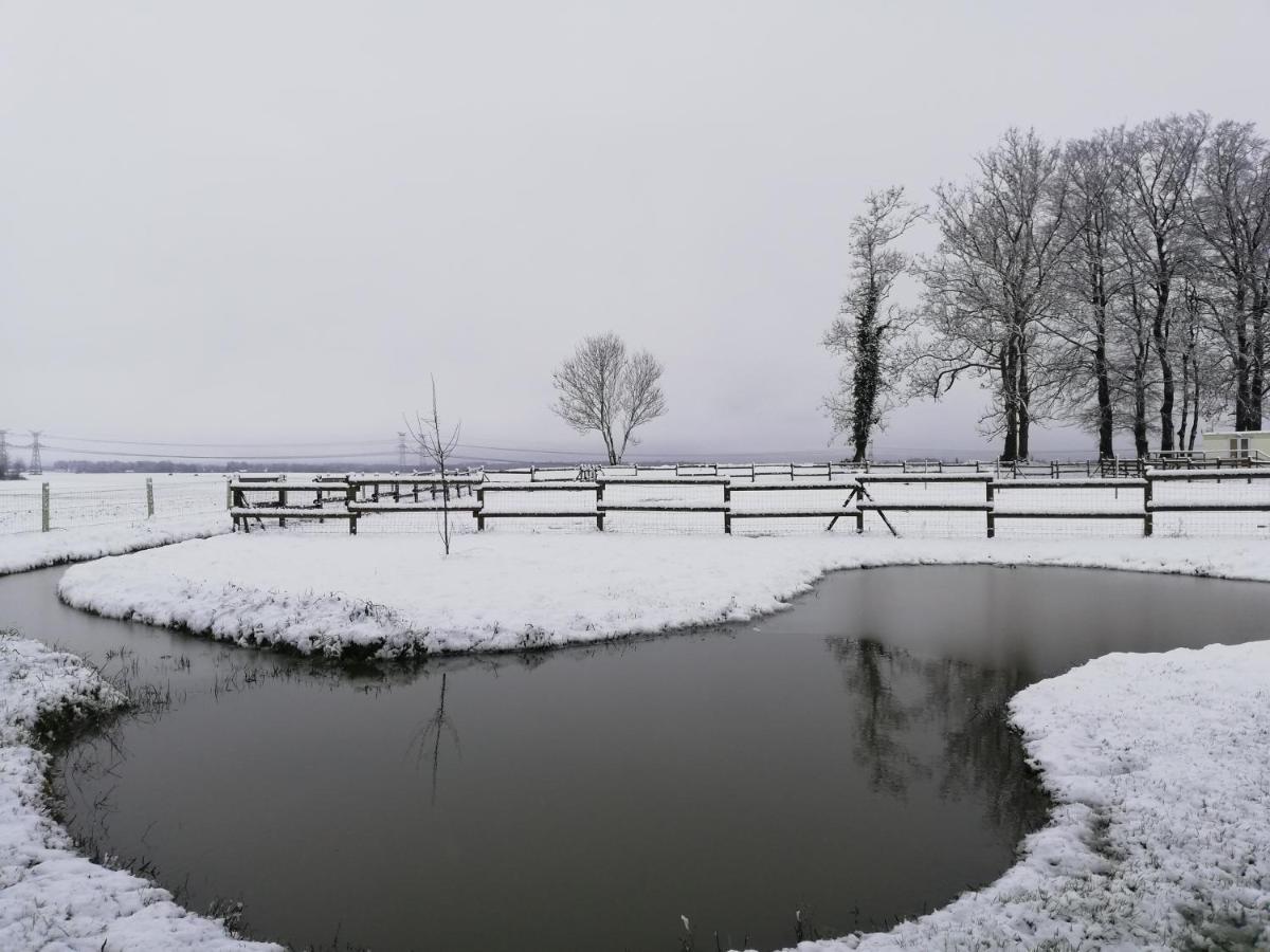 Pulilane Hotel Le Torp-Mesnil ภายนอก รูปภาพ