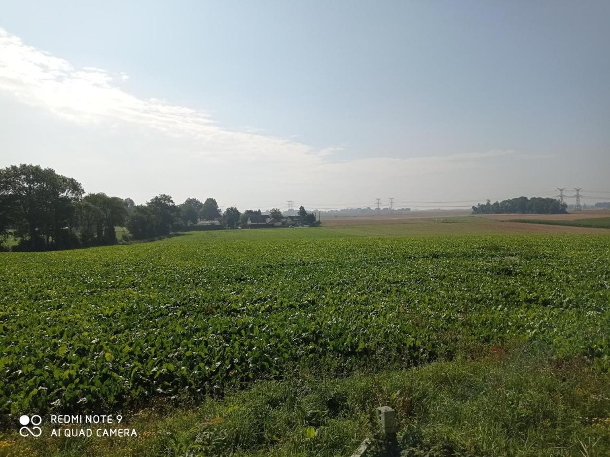 Pulilane Hotel Le Torp-Mesnil ภายนอก รูปภาพ