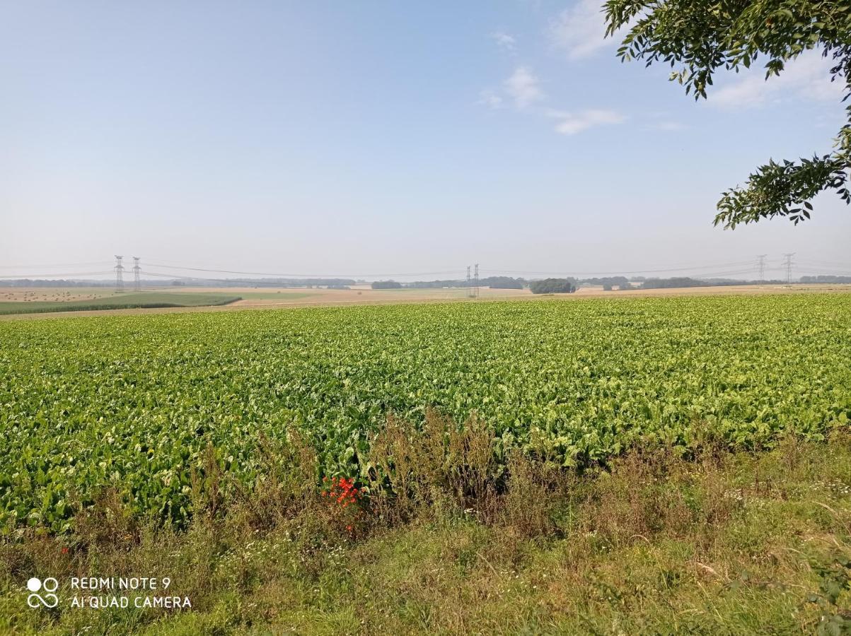 Pulilane Hotel Le Torp-Mesnil ภายนอก รูปภาพ